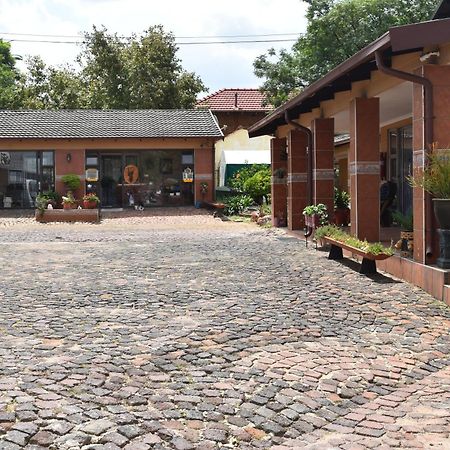 African Elephant Guesthouse Джърмистон Екстериор снимка